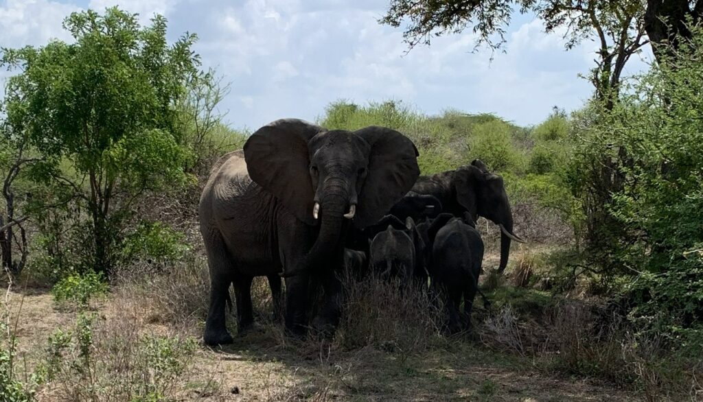 Tanzania